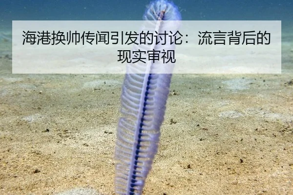 海港换帅传闻引发的讨论：流言背后的现实审视